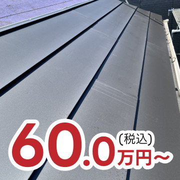 60.0万円(税込)~